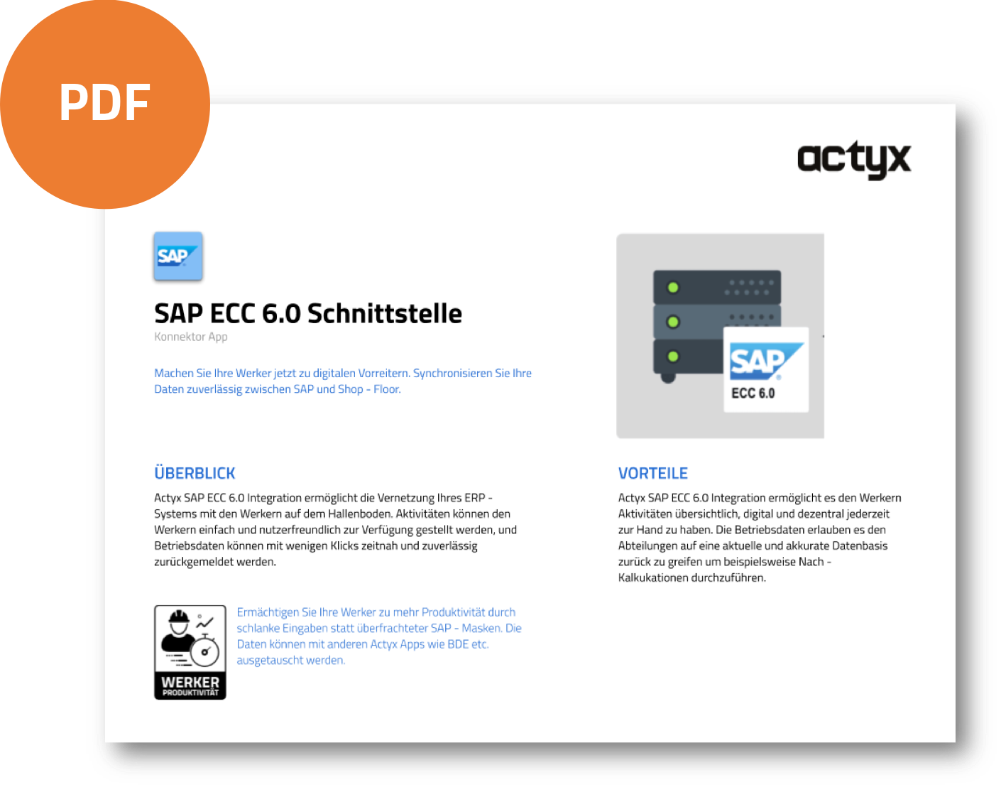 sap ecc 6.0 release date